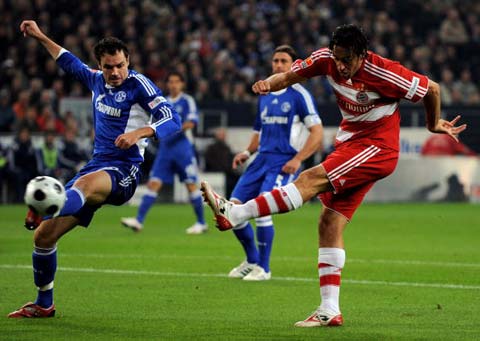 己的迅猛脚 己的迅猛脚