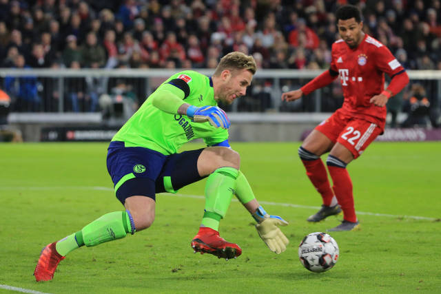 面对灰熊这 面对灰熊这